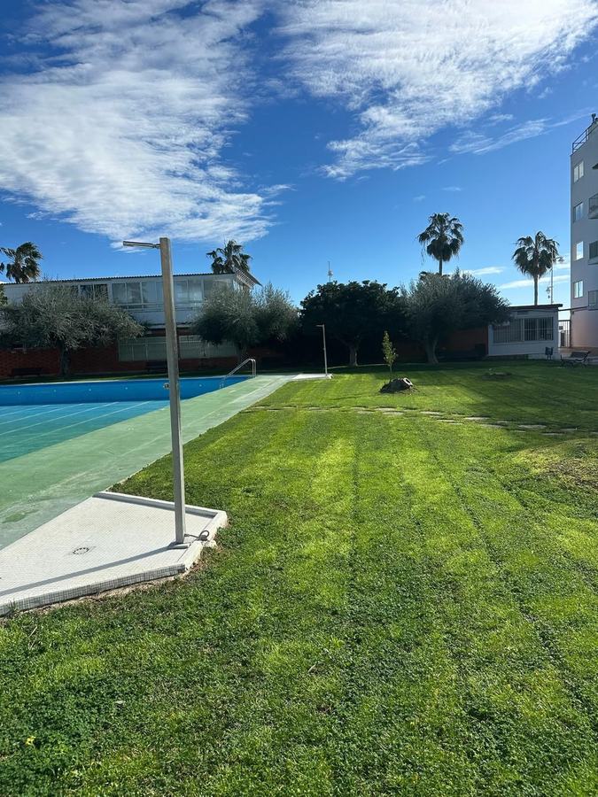 Zona ajardinada con pérgola y bancos