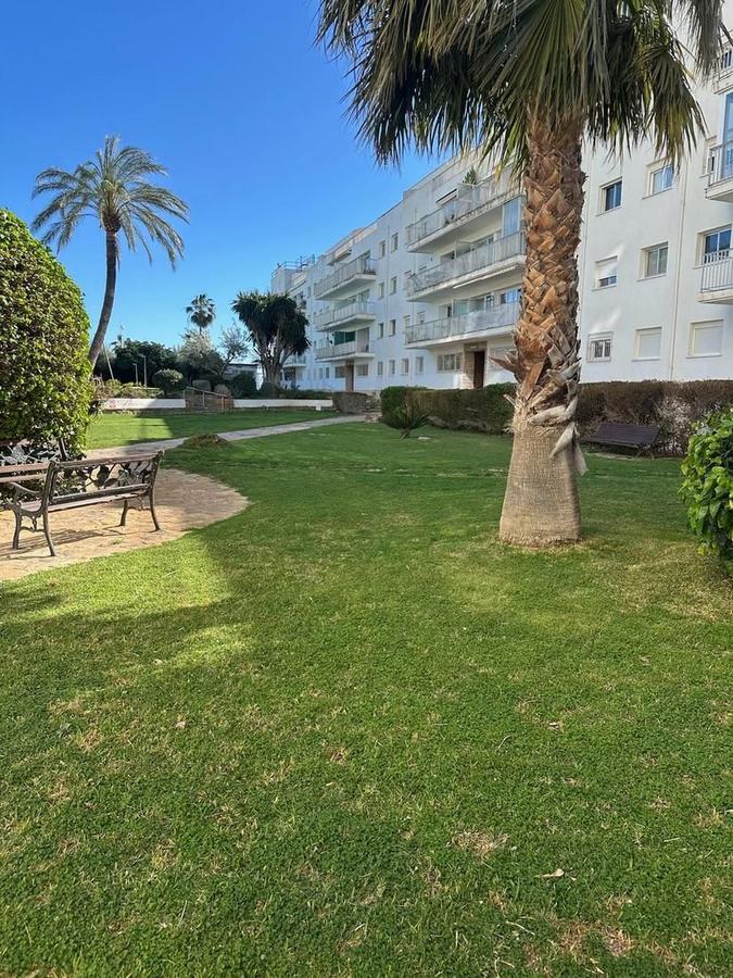 Zona verde comunitaria con palmeras